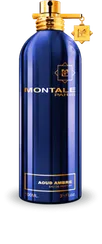 Montale Aoud Ambre