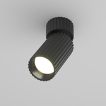 Накладной светильник Maytoni Calipso C108CL-01-GU10-B