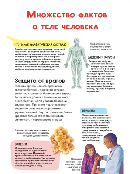 Тело человека