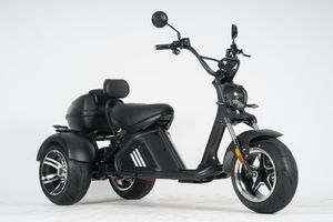 Трехколесный электроскутер Mangosteen M2P (60V 30А/40A 2000W) (ПОД ЗАКАЗ)