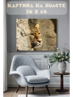 Картина на стену 40 X 50 Гепард