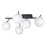 Citilux DORSY CL223152 LED Люстра поворотная Чёрная