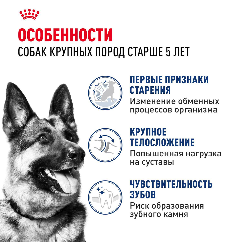 Royal Canin Maxi Adult 5+ Макси Эдалт Корм сухой для взрослых собак крупных пород старше 5 лет 4кг