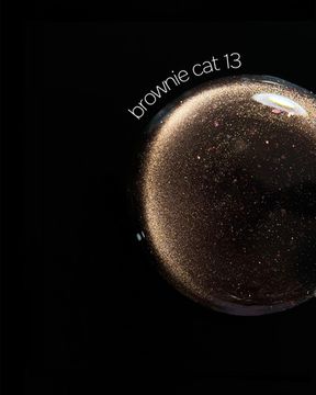Brownie cat color gel 10g 13 Iperfect