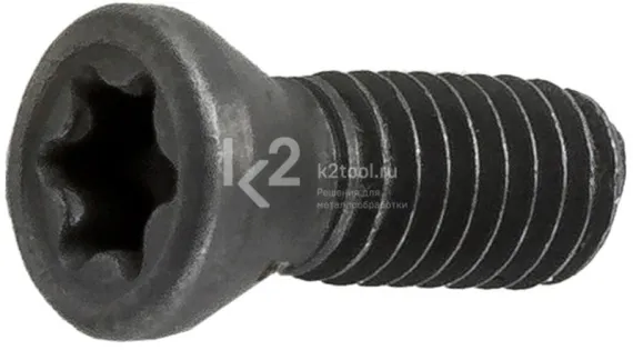 Винт для крепления пластин Ravic к RV-24