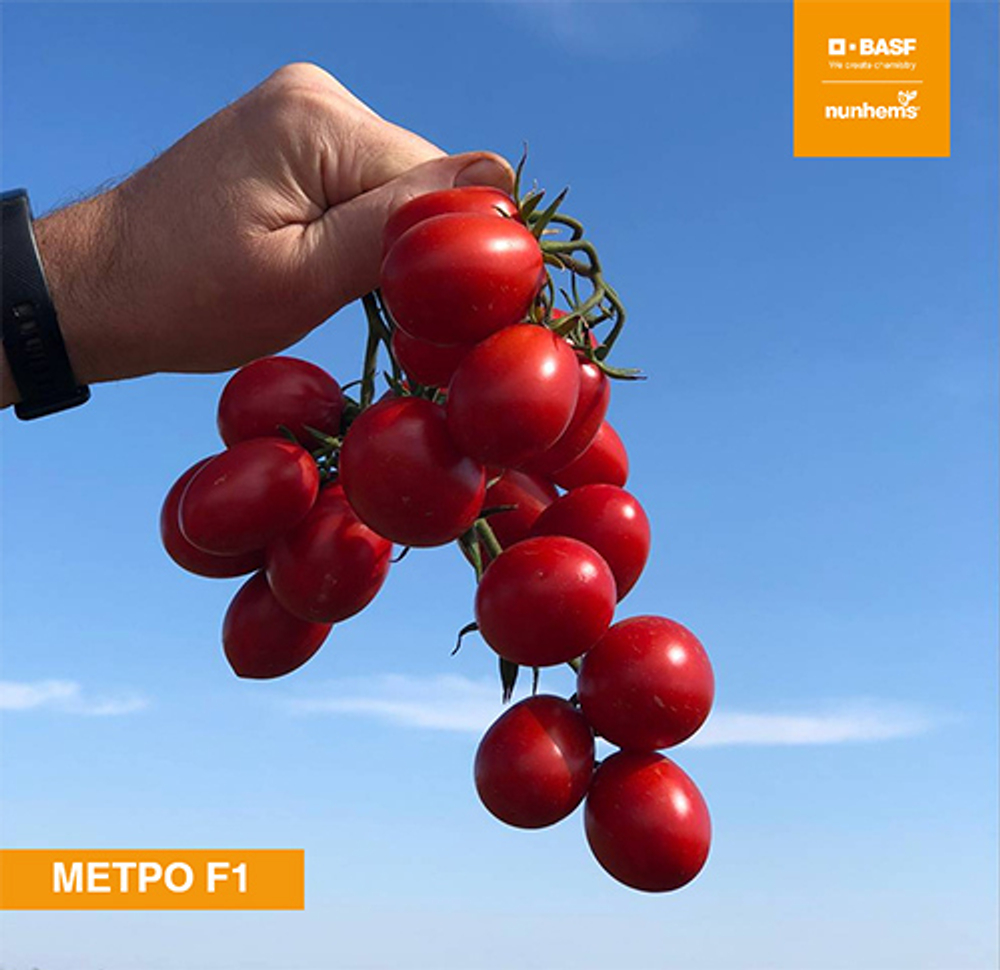 Метро F1