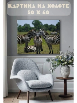 Картина на стену 40 X 50 Зебры