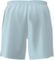 Шорты мужские 7/6 Miran Shorts 7' - Ice Melt, арт. SH7760-4306