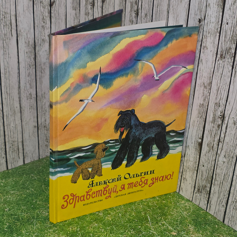 Книга "Здравствуй, я тебя знаю!"