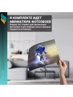 Детские фотообои на стену Соник бежит по воде 300х270см