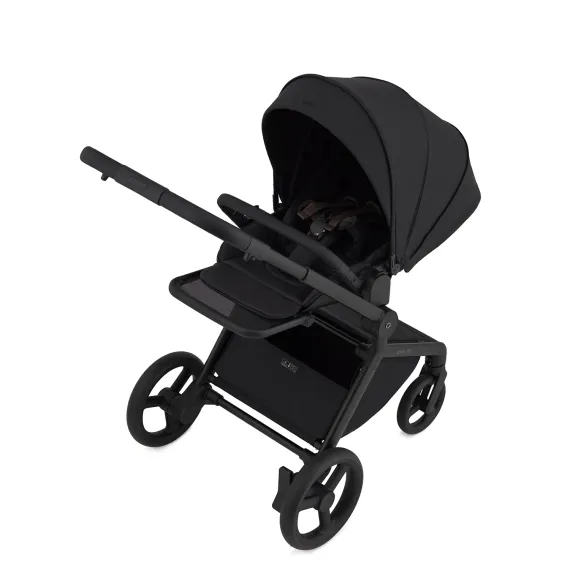 Коляска ANEX Flo 3 в 1 Lungo