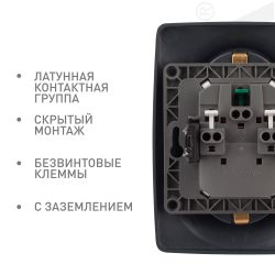 Розетка ЭРА Серия 12 12-2106-05 двойная с заземлением 2X2P+E Schuko 16A-250В IP20 антрацит | Эра 12