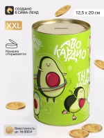 Копилка для денег и монет XXL