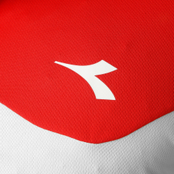 Мужское теннисное поло Diadora Court Polo Men - White, Red