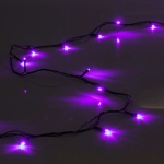 Гирлянда для дома 1,5м 12 ламп LED зелёный пров.,8 реж, IP-20, Фиолетовый