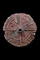 MAKLAUD BARRATRUMM