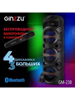 Переносная BT Аудио MIDI-система GM-238