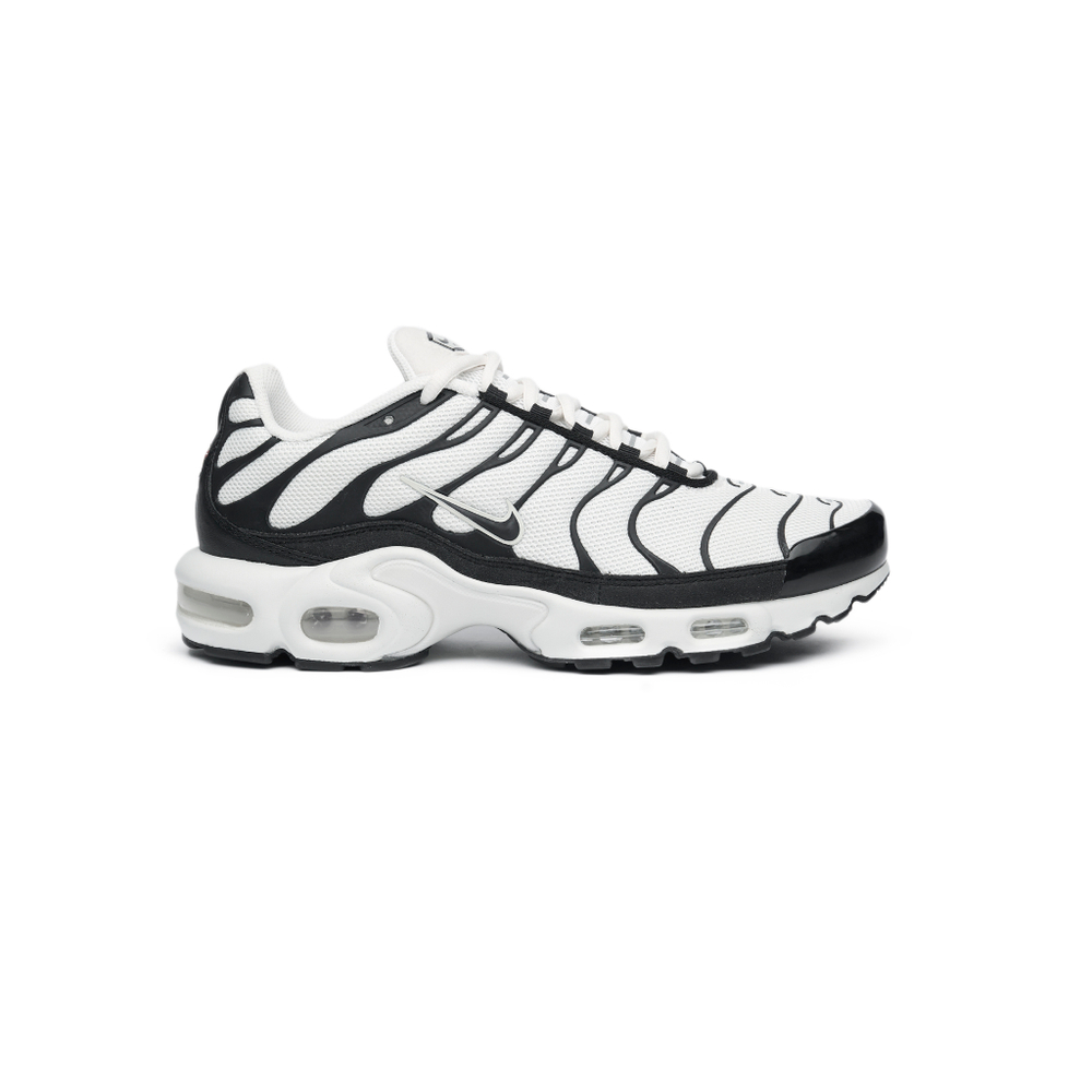 Кроссовки Nike Air Max Plus "Panda"