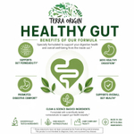 Terra Origin, Healthy Gut™, мята, 222 г (7,83 унции)