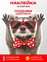Наклейка с Енотом на унитаз Подыми сидушку