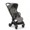 Прогулочная коляска Nuna Viaa Cabn Thunder