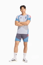 Шорты adidas Croatia 2026 Tiro Training - серый