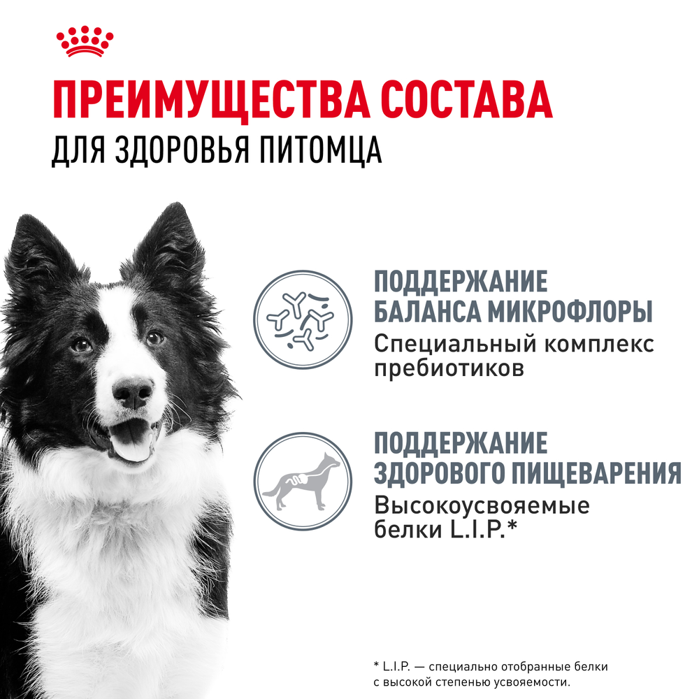 Royal Canin Medium Digestive Care Медиум Дайджестив кэа Корм сухой для взрослых собак средних размеров с чувствительным пищеварением 12кг