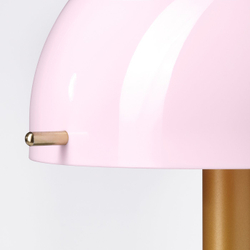 IKEA NÖDMAST  (ИКЕА НЁДМАСТ)  -  Лампа LED на батарейках - светло-розовая/тёмная серо-зелёная 26 см