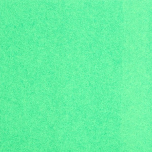Фетр рулонный жесткий 4.0 мм, 110 см, рул. 10 метров, (FKAM40), C413 салатовый (меланж), Gamma