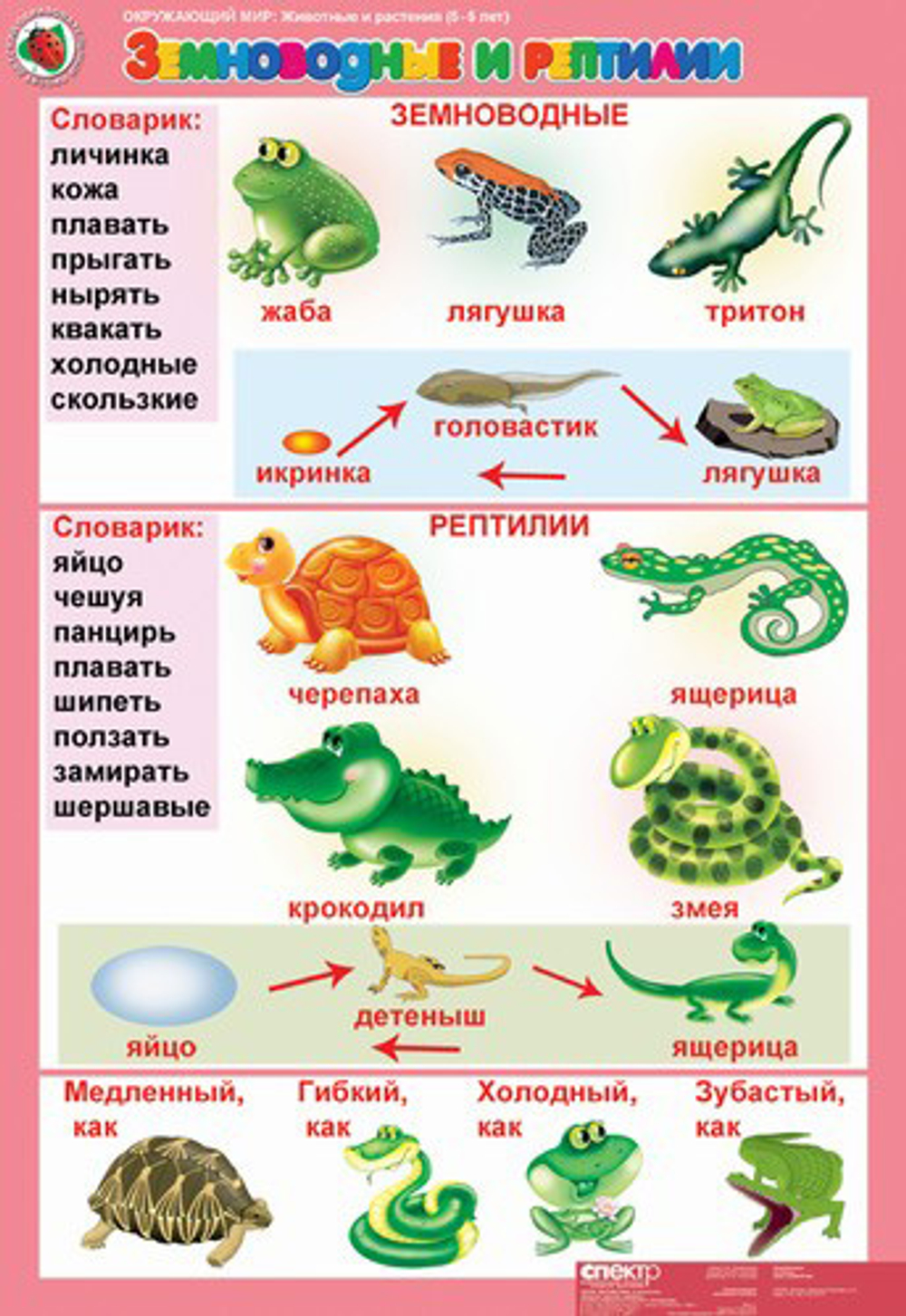 Комплект таблиц Окружающий мир 5-6 лет. "Животные и растения". (12 таблиц+16 карт.)