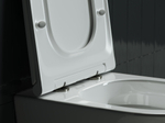 Комплект подвесной безободковый унитаз Ceramica Nova Forma с крышкой-сиденьем CN3011 + инсталляция Grohe Rapid SL 38775001 4 в 1 с кнопкой смыва