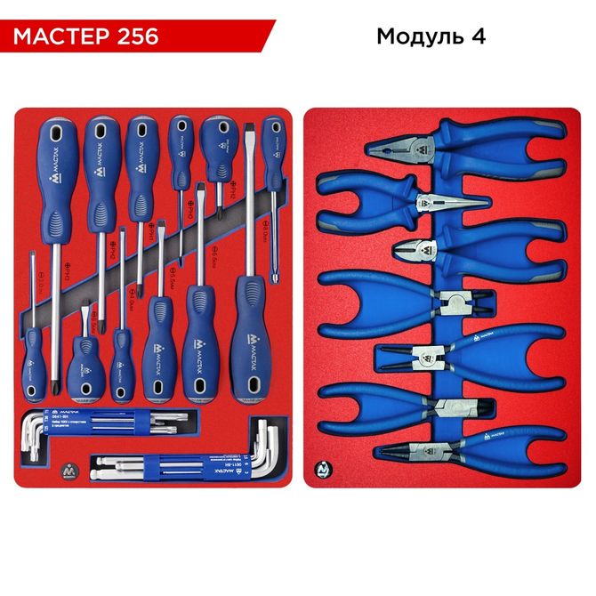 МАСТАК (52-05256G) Набор инструментов 256 предметов, "МАСТЕР 256", в серой тележке