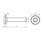 Винт шлиц TORX ИСО 7380-2 А2 M 6х40/40 Tх30 с полукруглой головкой с фланцем в упак 200 шт