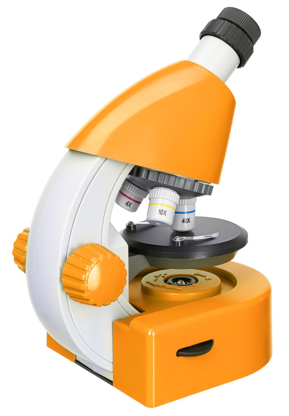 Микроскоп Levenhuk Discovery Micro с книгой, 77954