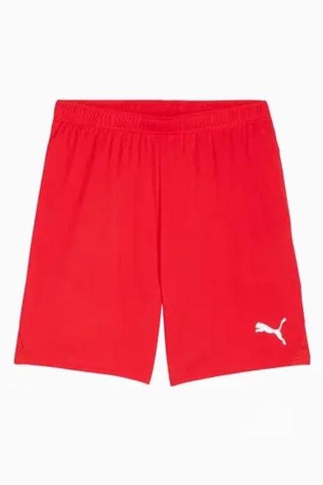 Шорты Puma teamGOAL - красный