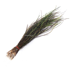 Бородки пера павлина Peacock Herls Natural (1 гр.)