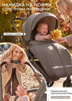 Sweet Baby Коляска 2 в 1 SBL Alba 2.0 Dark Beige