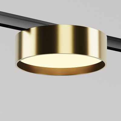Трековый светильник Зон / Zon Levity 3000К 12Вт 100°, TR189-1-12W3K-BBS. TM Maytoni