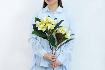 Плюмерия с 2-я ответвлениями - Белый