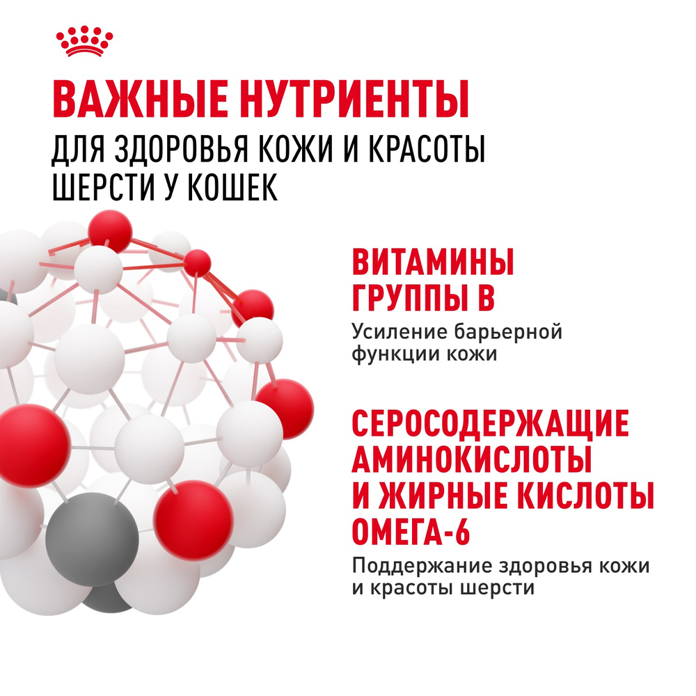Royal Canin Hair&Skin Care Хэйр Энд Скин Корм влажный для взрослых кошек поддержание здоровья кожи и шерсти желе 85г
