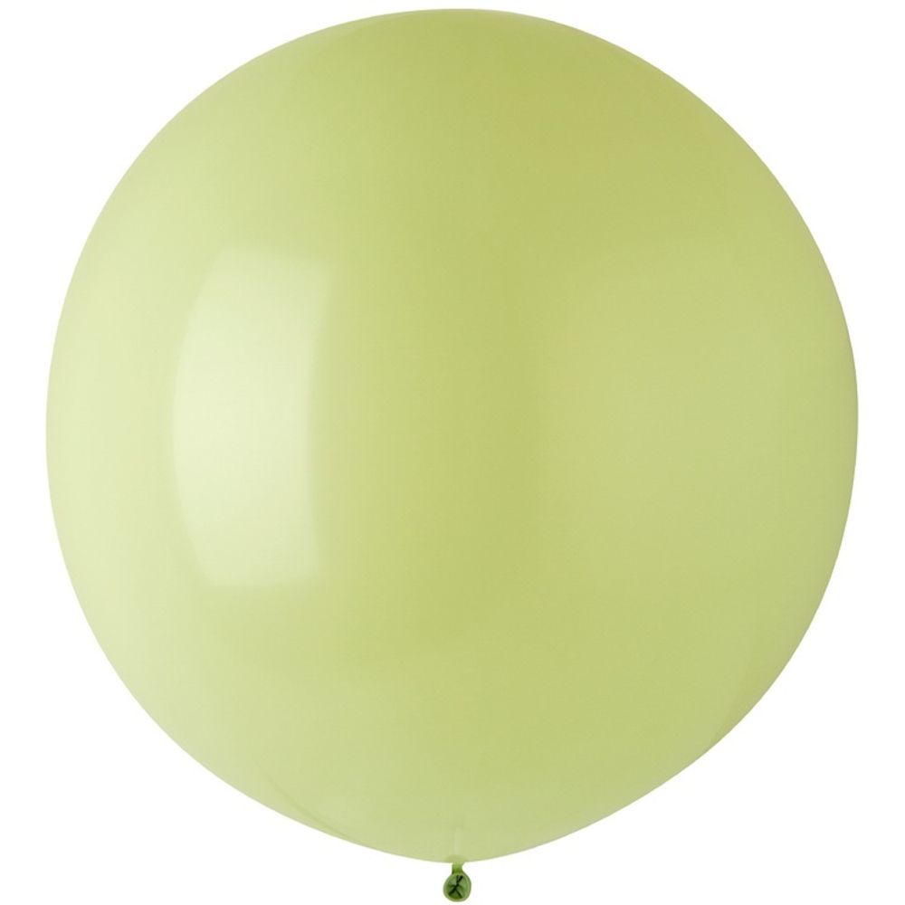 EV 24"/781 Стандарт Macaron Pistachio 1 шт
