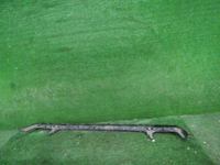 DSCN0750.JPG