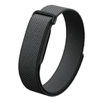 Фитнес-браслет Google Fitbit Air (Obsidean)
