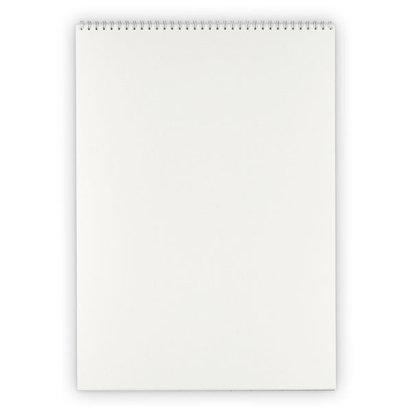 Альбом для акварели 200 г/м², 30х40 см, на спирали 20 л, гознак тисненая, Vista-Artista ALWG-02