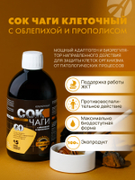 Сок Чаги клеточный с облепихой и прополисом, 450 мл Поддерживает работу желудочно-кишечного тракта