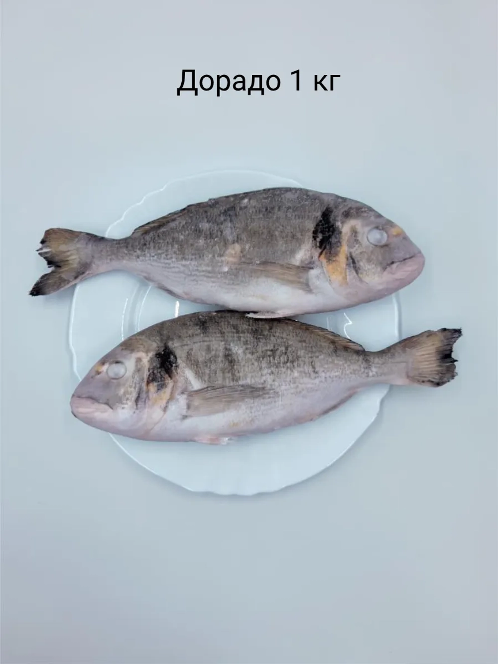Дорадо рыба 1 кг свежемороженая