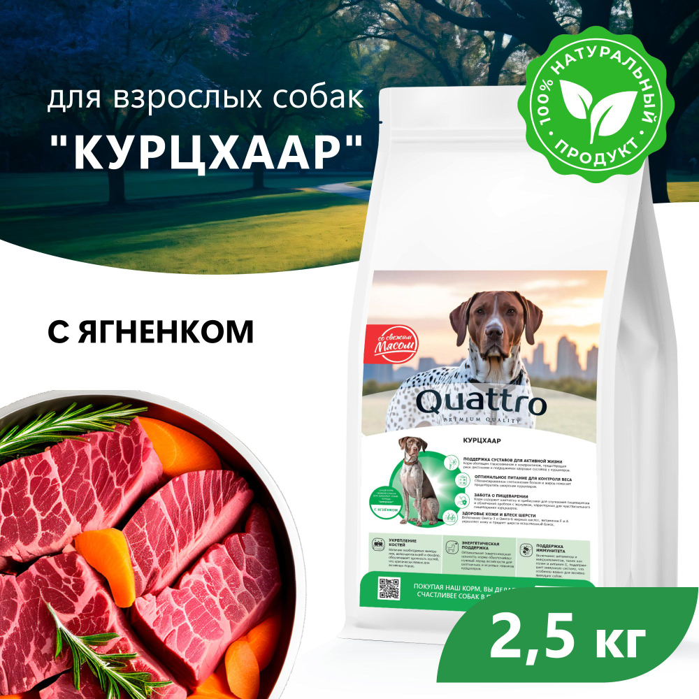 Корм сухой для взрослых собак породы Курцхаар, с ягненком, 2.5 кг, QUATTRO