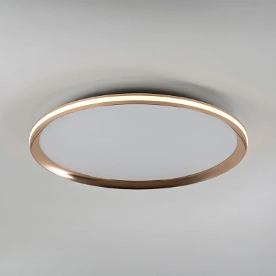Потолочный cветильник LED4U L3020-500 GD