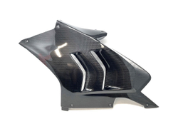 EXTREME COMPONENTS COMPLETE CARBON FAIRING KIT RACING (P V4)