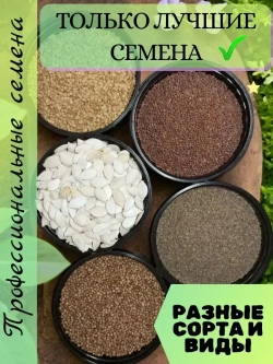 Семена Томат Златовласка Черри 0.2 гр